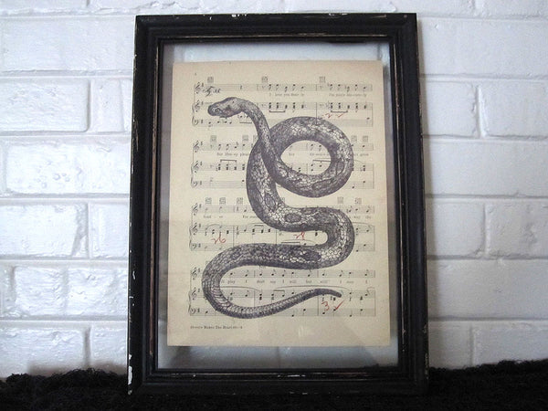 Snake Art Print on Vintage Music Sheet