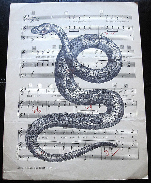 Snake Art Print on Vintage Music Sheet