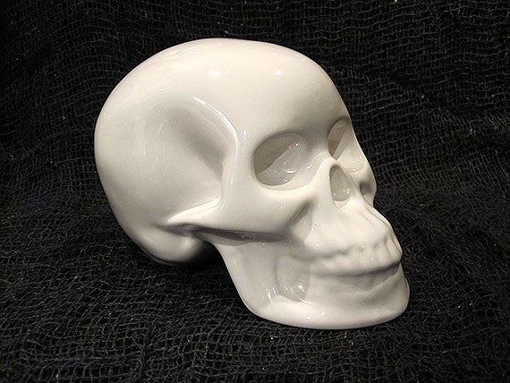 White Porcelain Skull